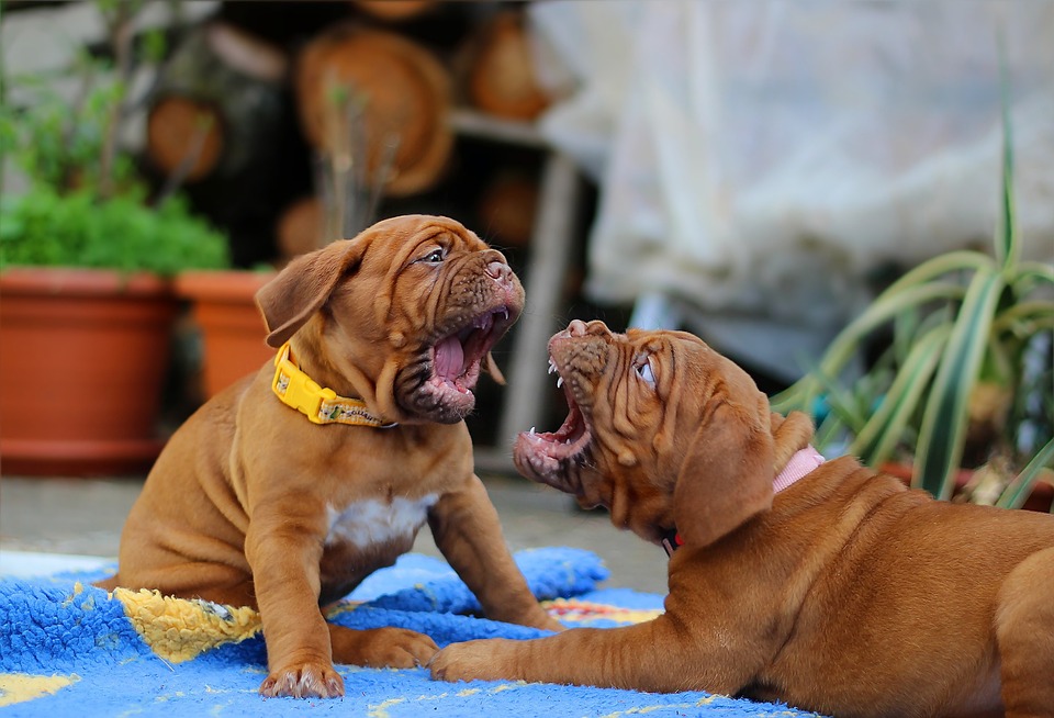 What are the best ways to avoid conflicts in everyday life?