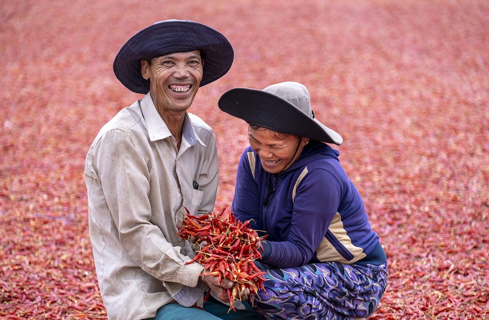 10 Most Important Suggestions to Ensure Sustainable Food Production in the Face of Increasing World Population