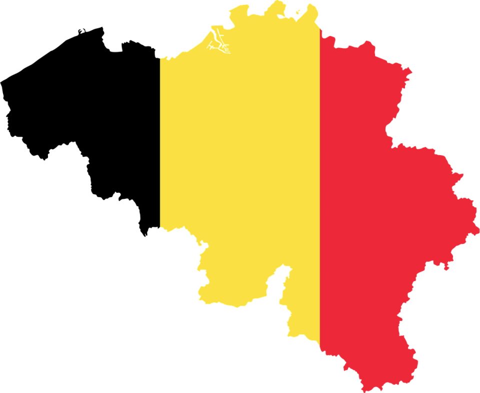 Discuss the reasons behind the rise of Flemish nationalism in Belgium during the 20th century, and how it affected the country's politics and culture