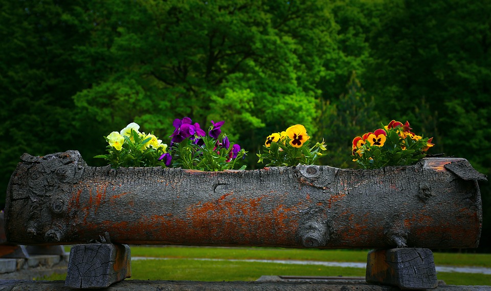 Glossary of Horticultural Terms