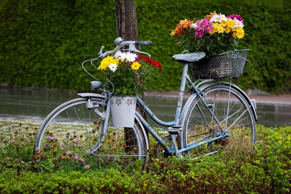 How can I maintain my bike to ensure it is always in good working condition?