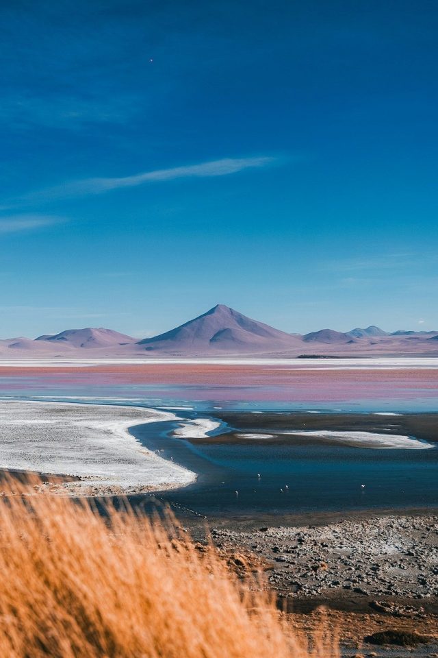 Bolivya'da Renkli Bir Tuval: Laguna Colorada'nın Büyüsü