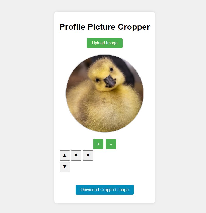 Profil Fotoğrafı Kırpma Aracı (Profile Picture Cropper)
