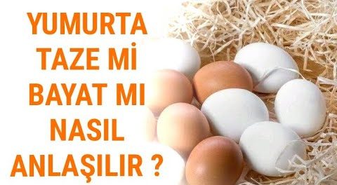 Yumurta taze mi bayat mı olduğu nasıl anlaşılır ? – Pratik Bilgiler