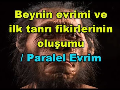 Dinlerin ve inanışların evrimi – Dinler nasıl ortaya çıktı?