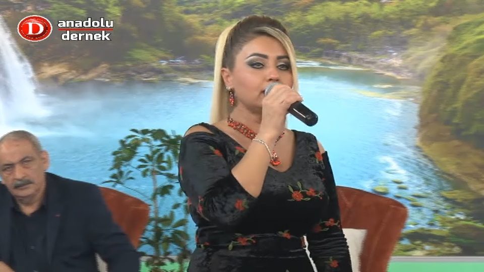Göknur Karadağ – Gidemedim Sivas’a Şarkı Sözleri