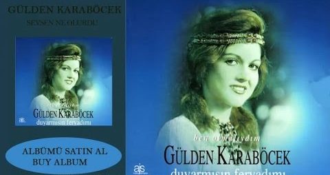 Gülden Karaböcek – Sevsen Ne Olurdu Şarkı Sözleri