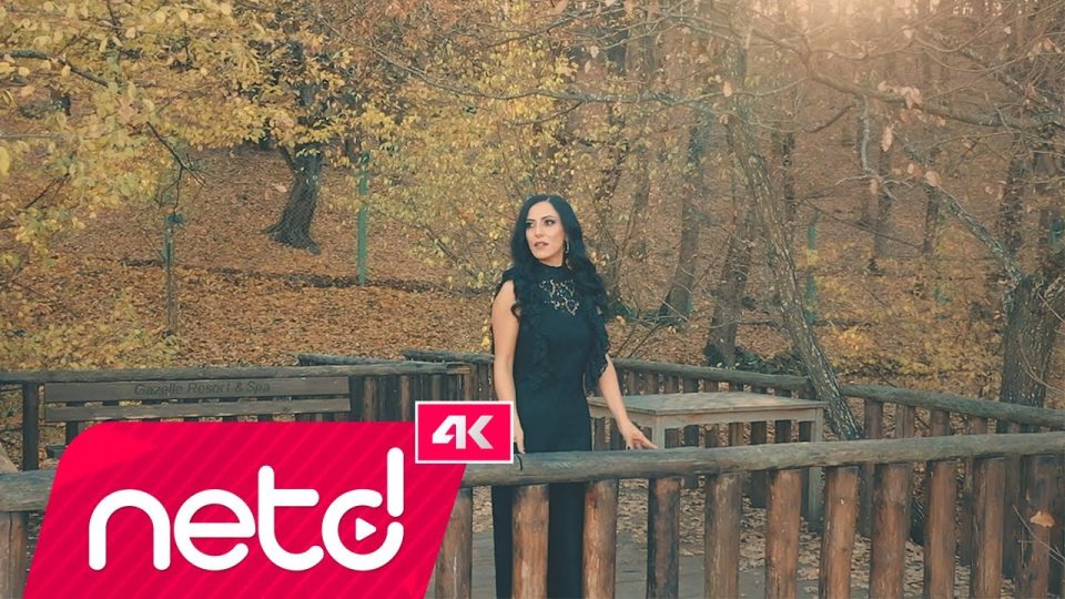 Tuğba Göktaş – Anlatamam