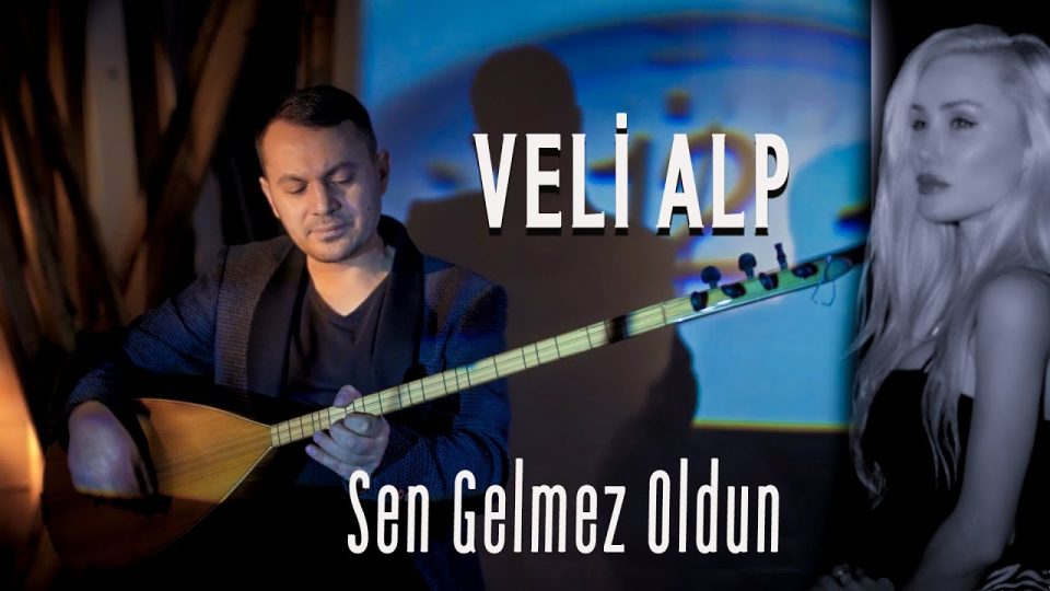 Veli Alp – Sen Gelmez Oldun Şarkı Sözleri