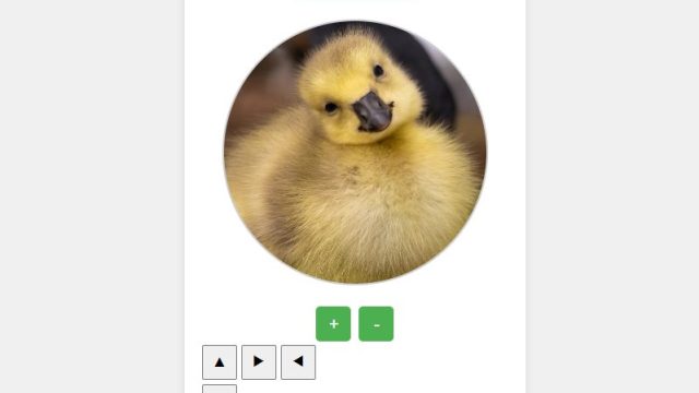 Profil Fotoğrafı Kırpma Aracı (Profile Picture Cropper)