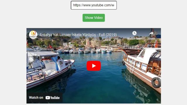 Youtube Video Özetleyici (YouTube Video Summarizer)